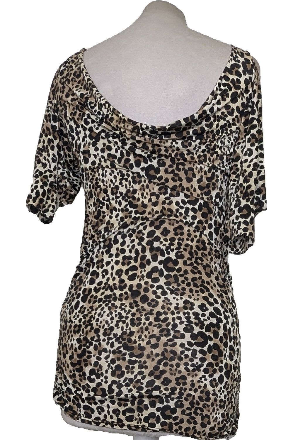 126909 - Photo
