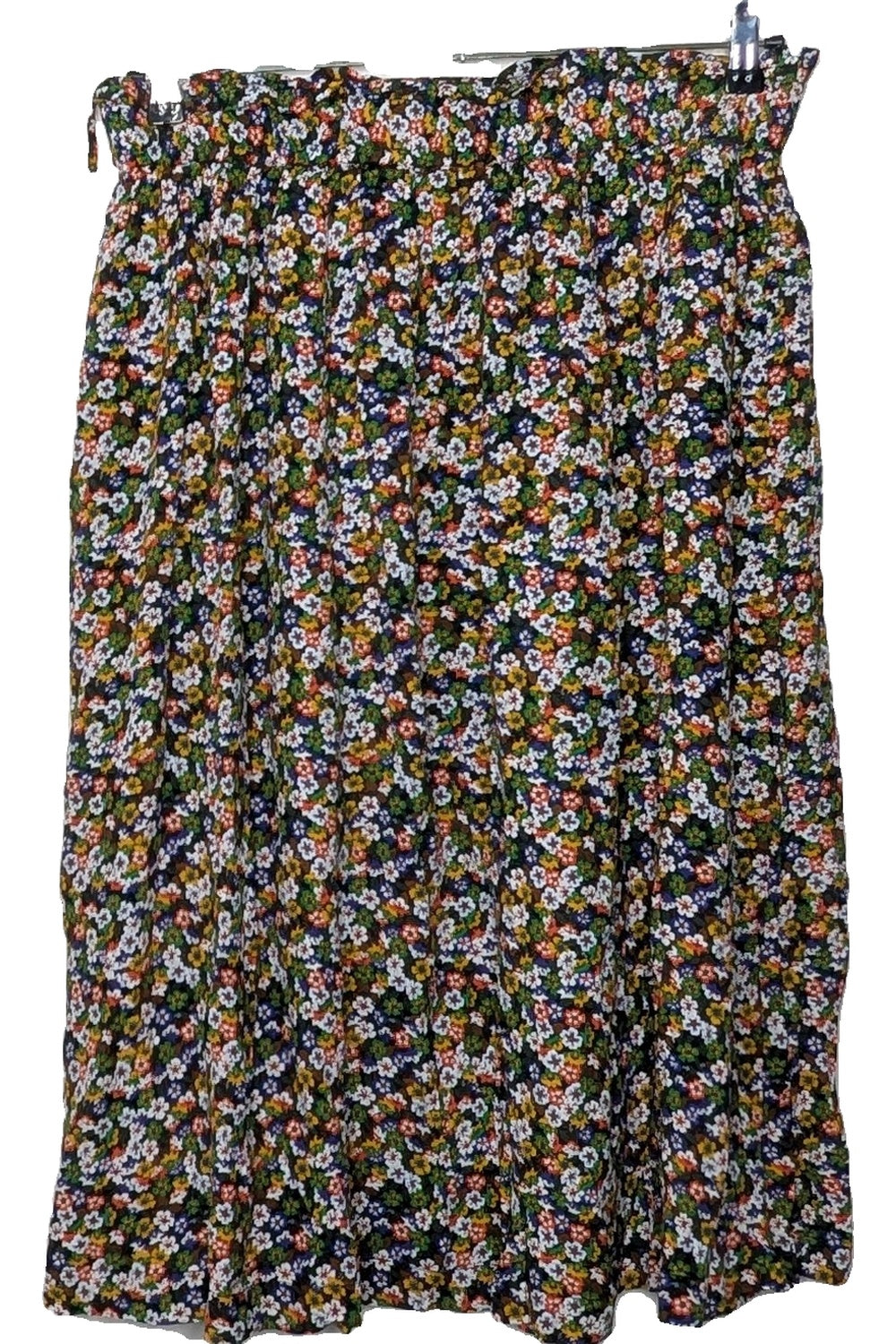 126998 - Photo