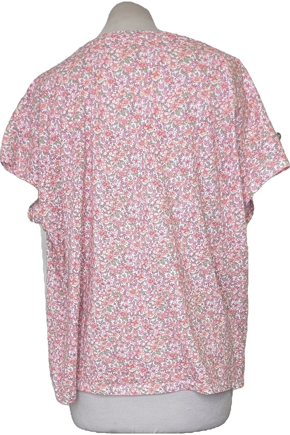 127950 - Photo