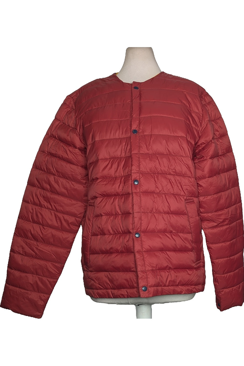 128035 - Photo
