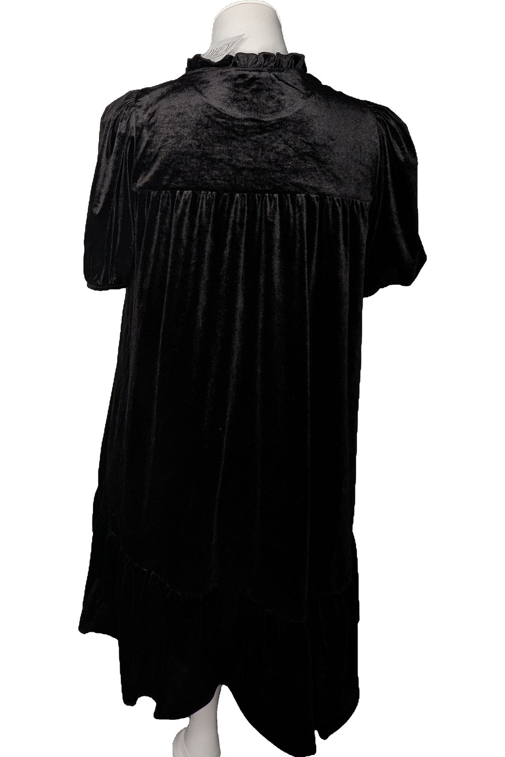 128263 - Photo