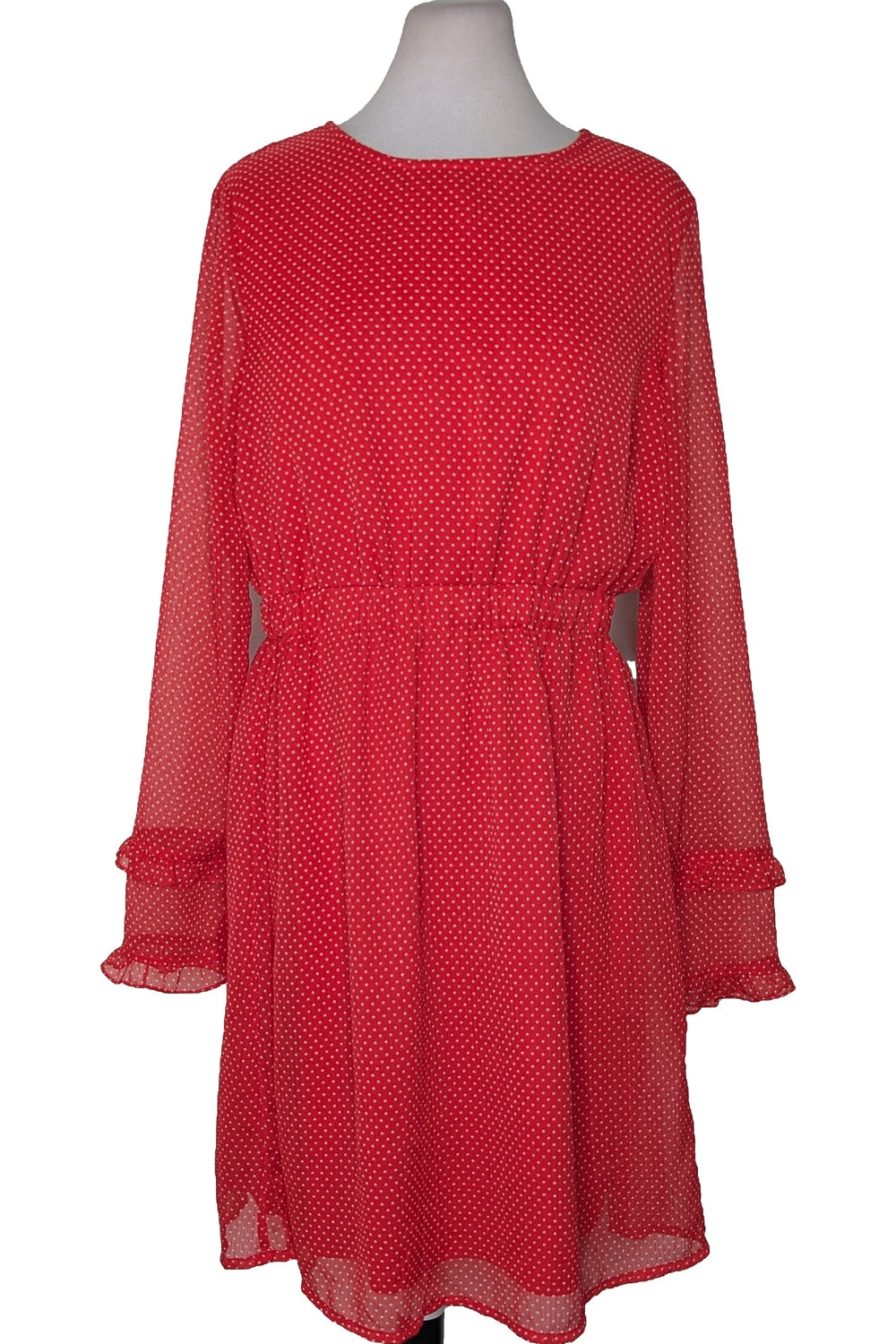 128509 - Photo