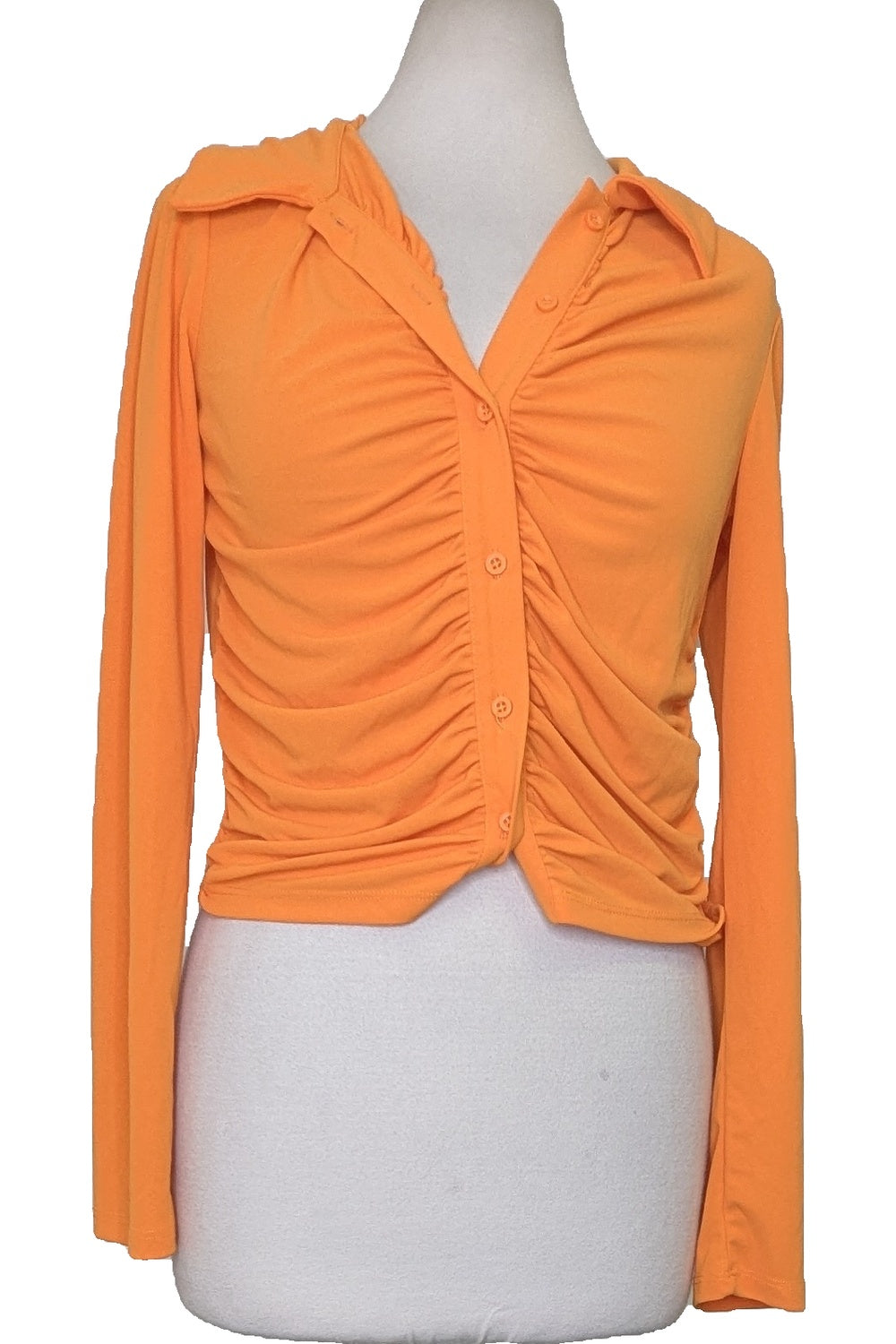 129044 - Photo