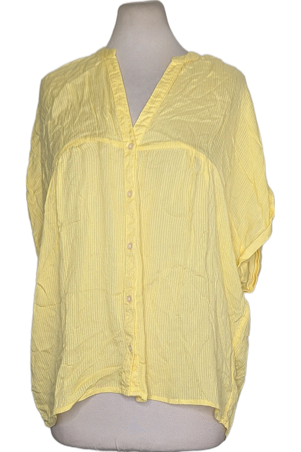 129390 - Photo