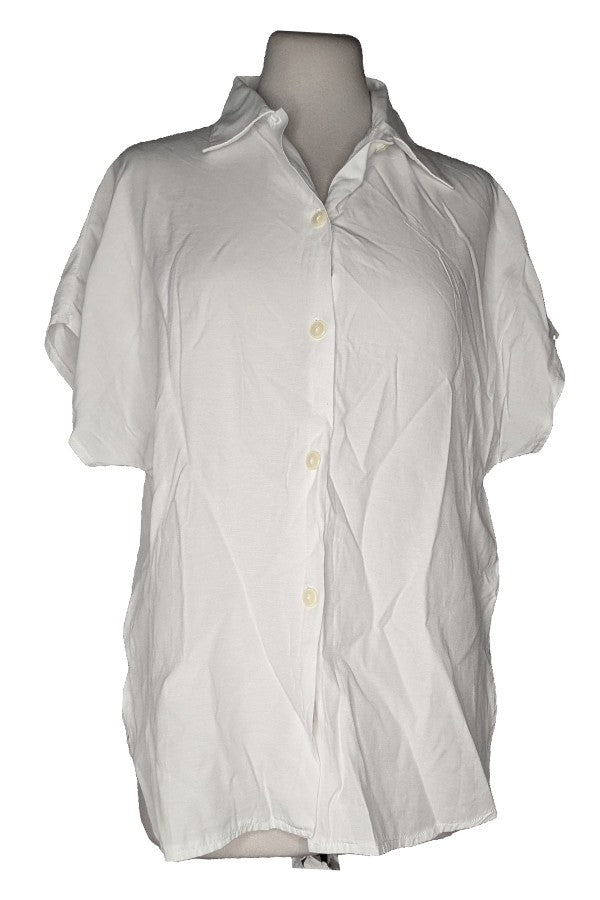 129536 - Photo