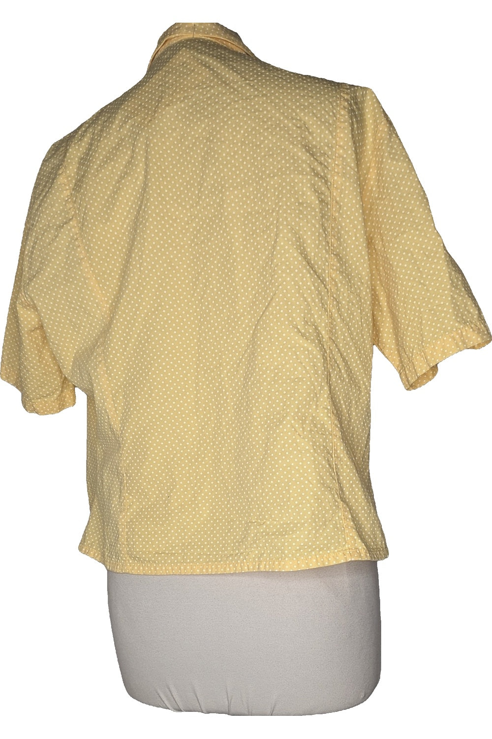 129616 - Photo