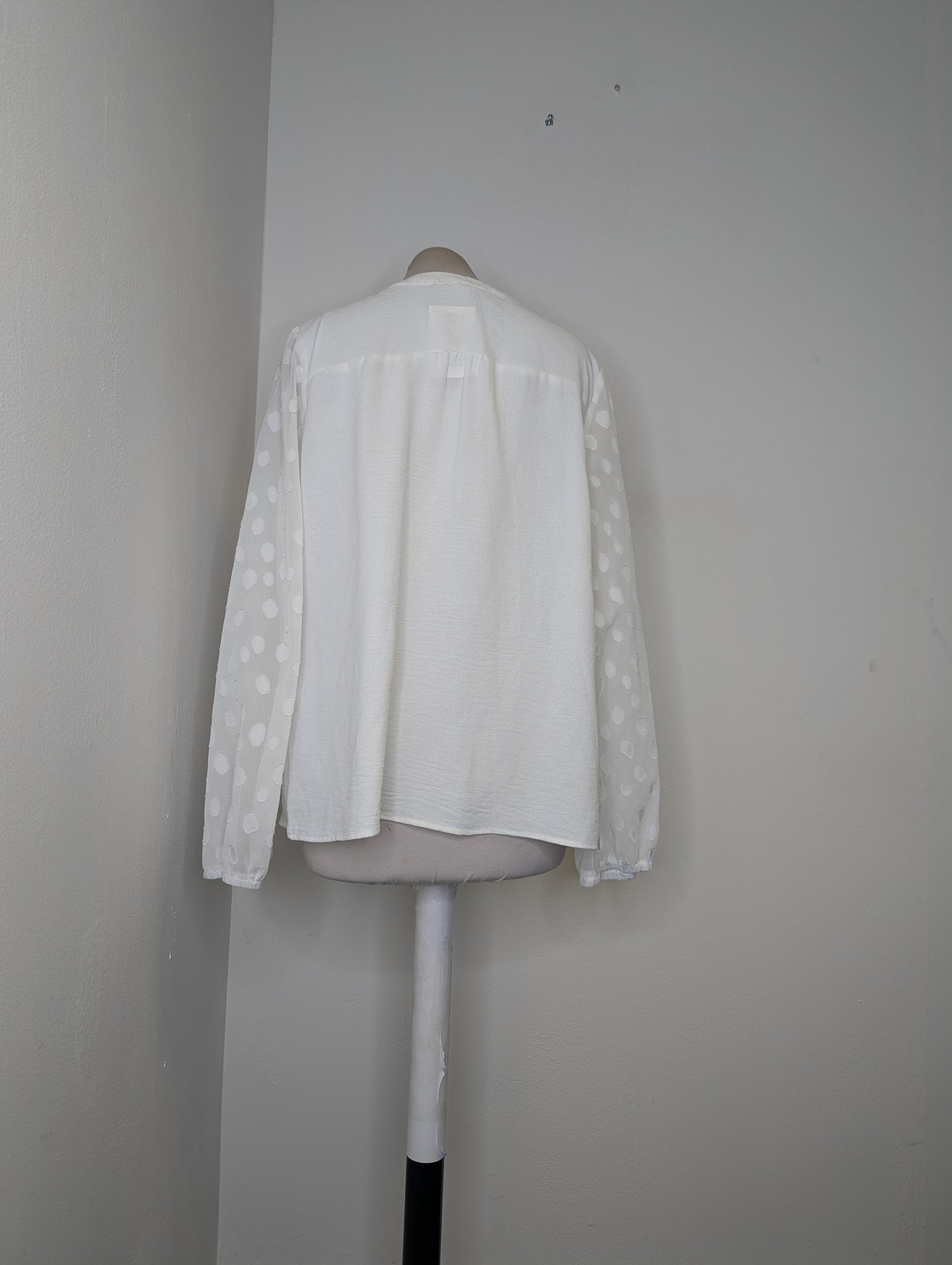 129890 - Photo