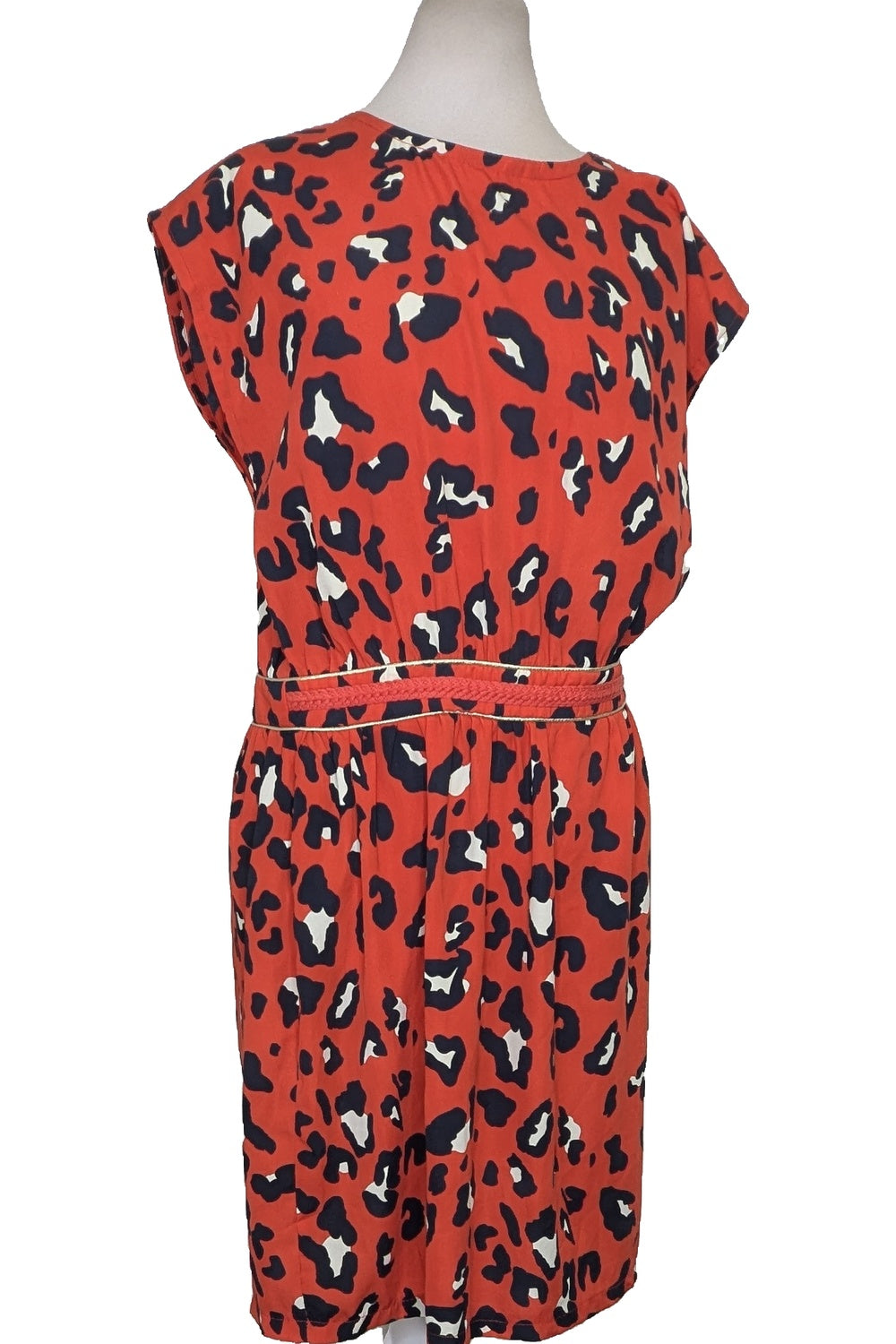 129976 - Photo