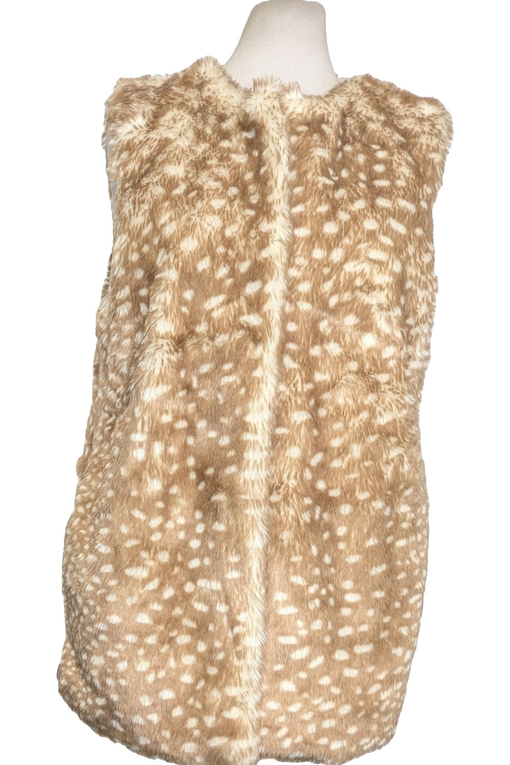 130232 - Photo