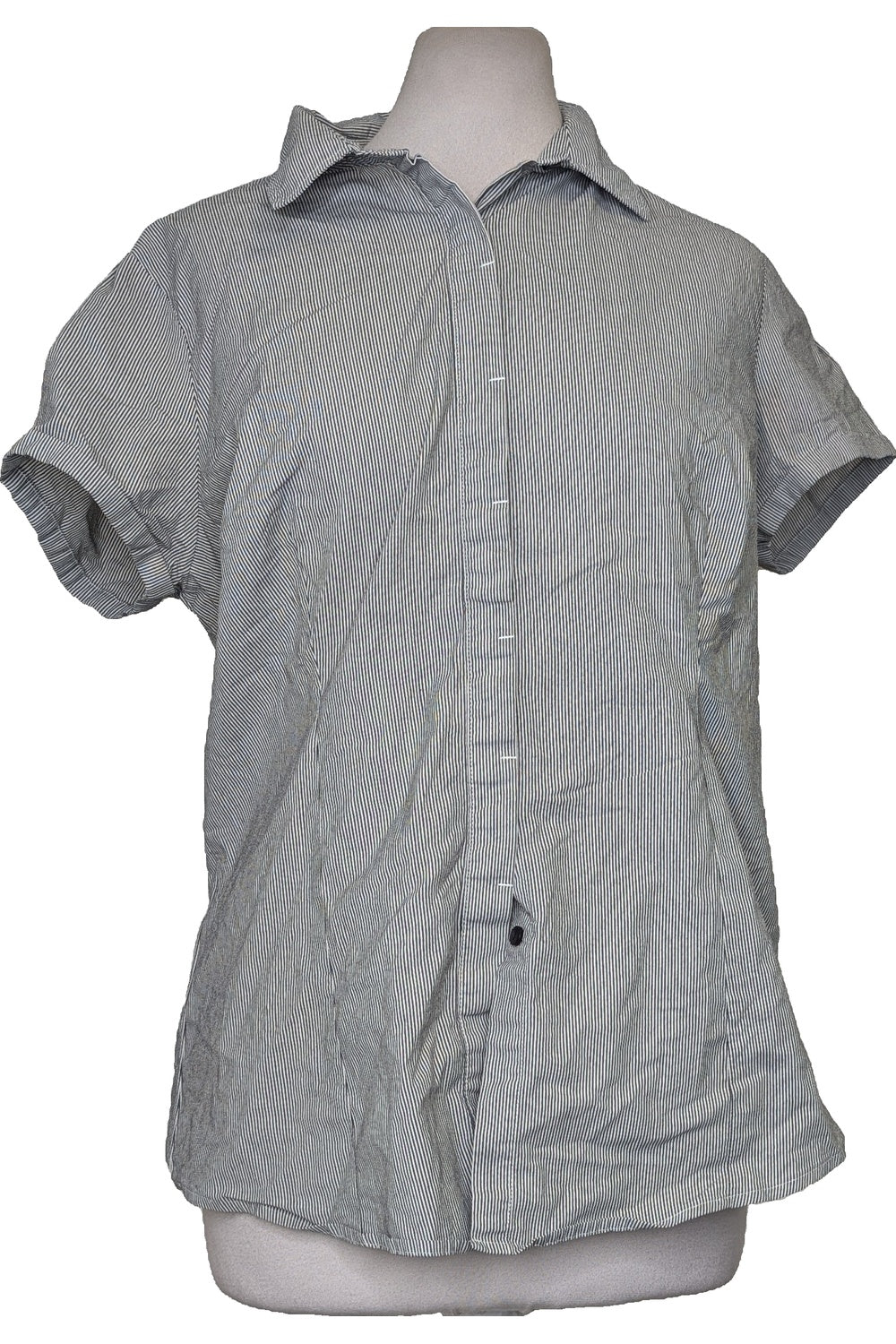 131375 - Photo