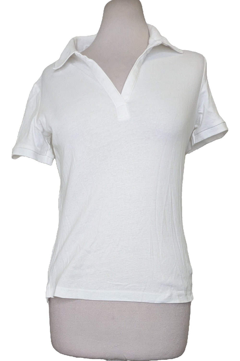 131813 - Photo