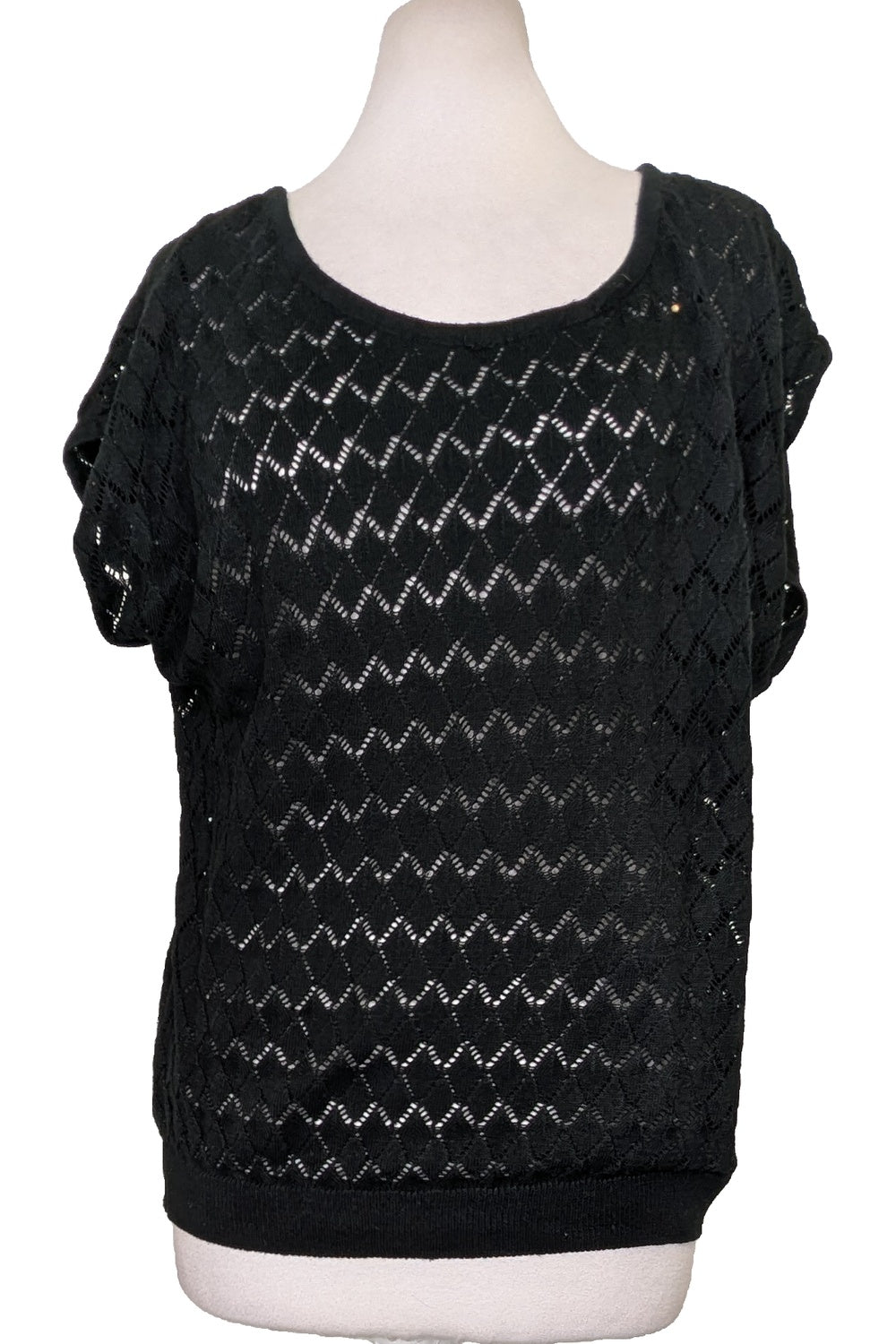 131841 - Photo