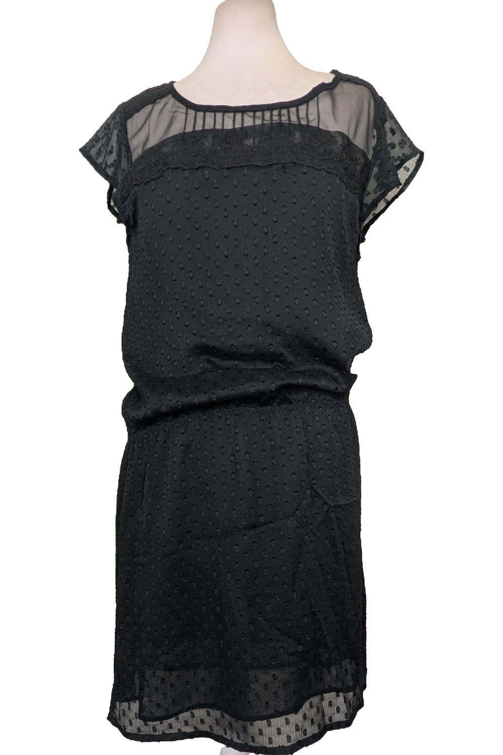 131857 - Photo