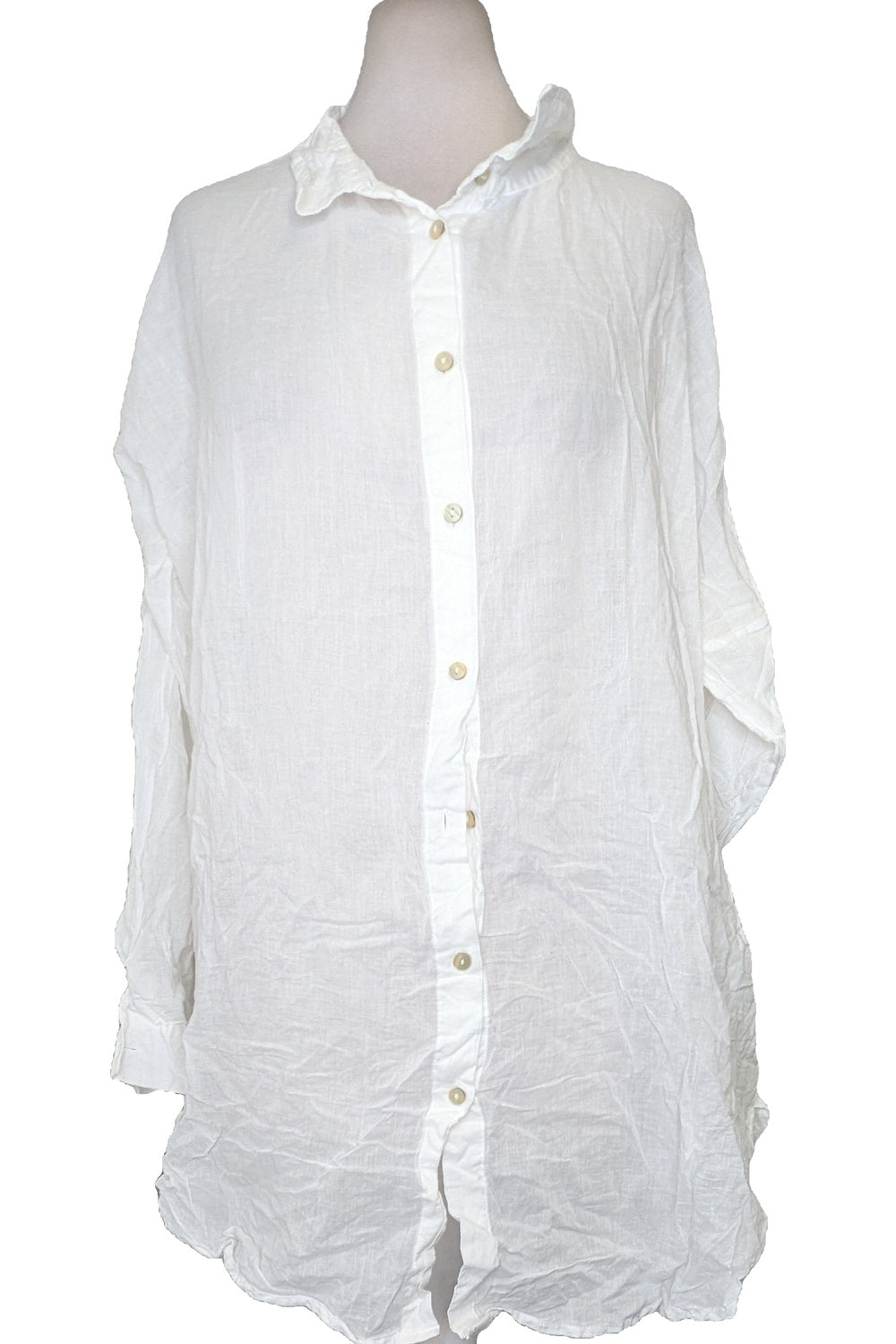 131966 - Photo