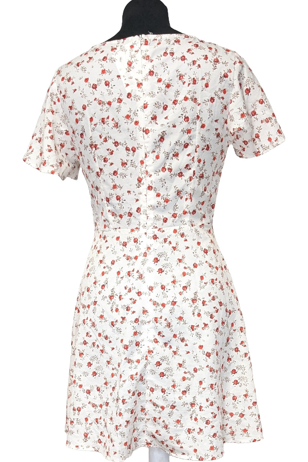 Photo 61923