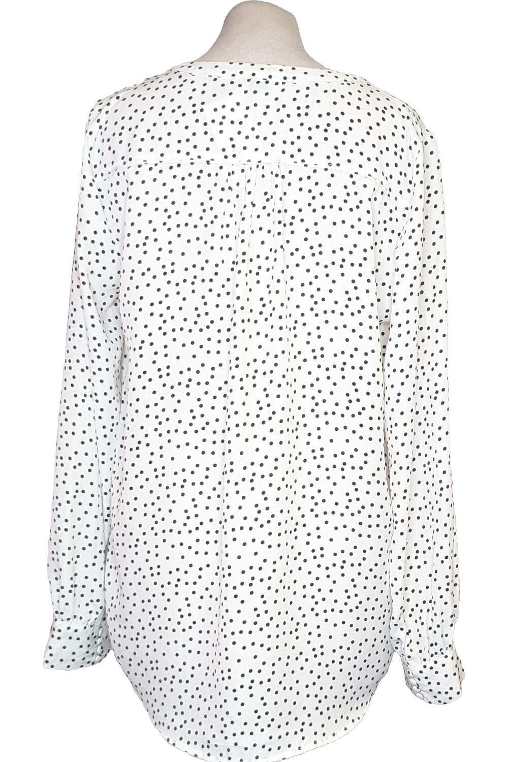 62089 - Photo 2