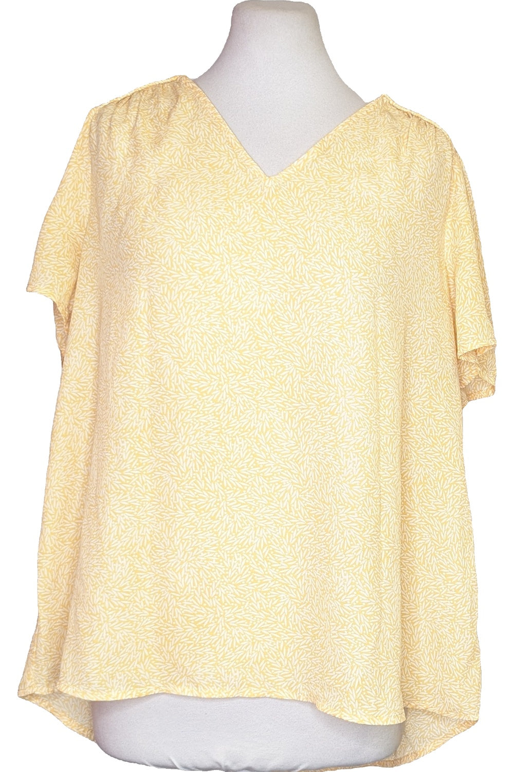 66955 - Photo 1