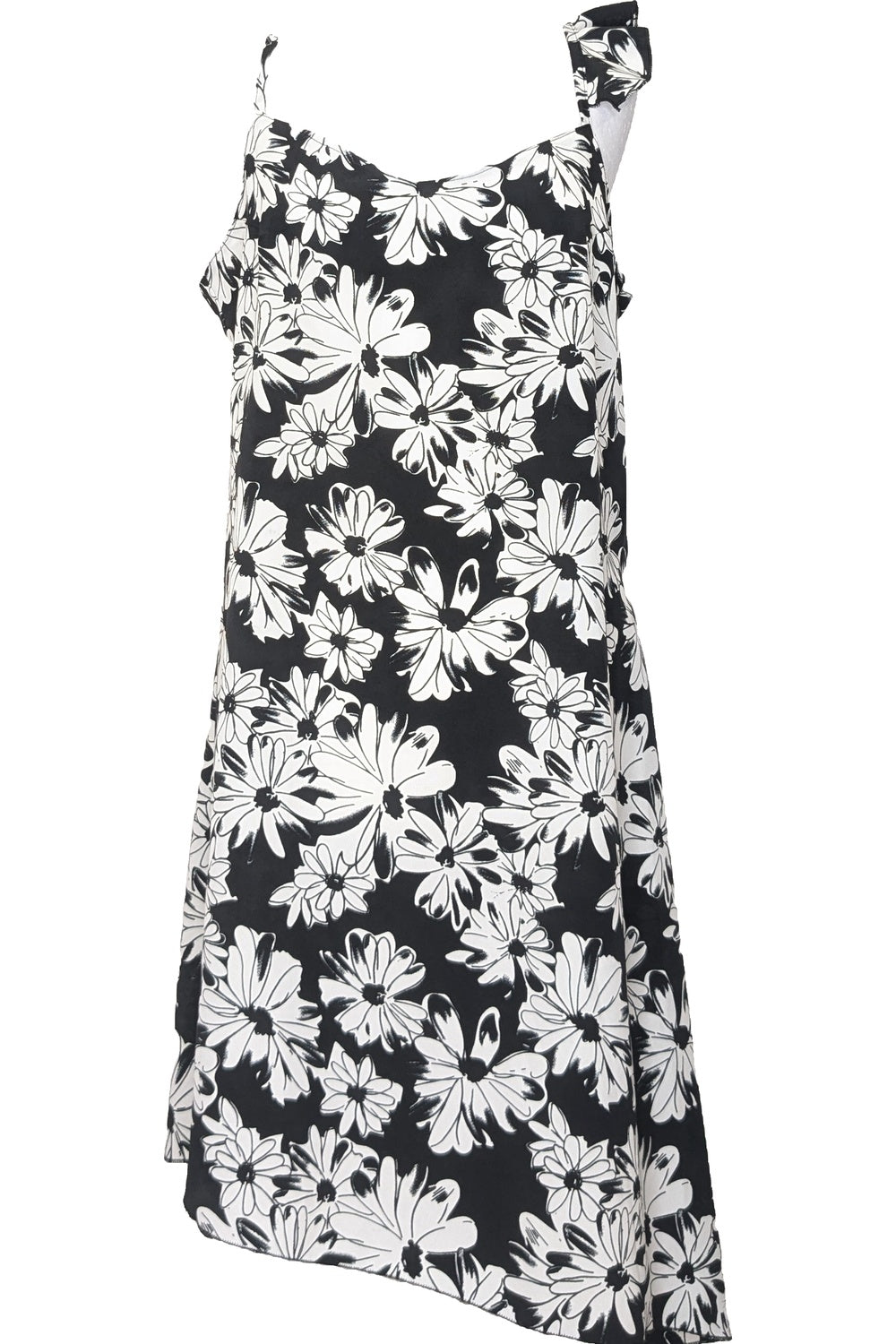 Photo 68175