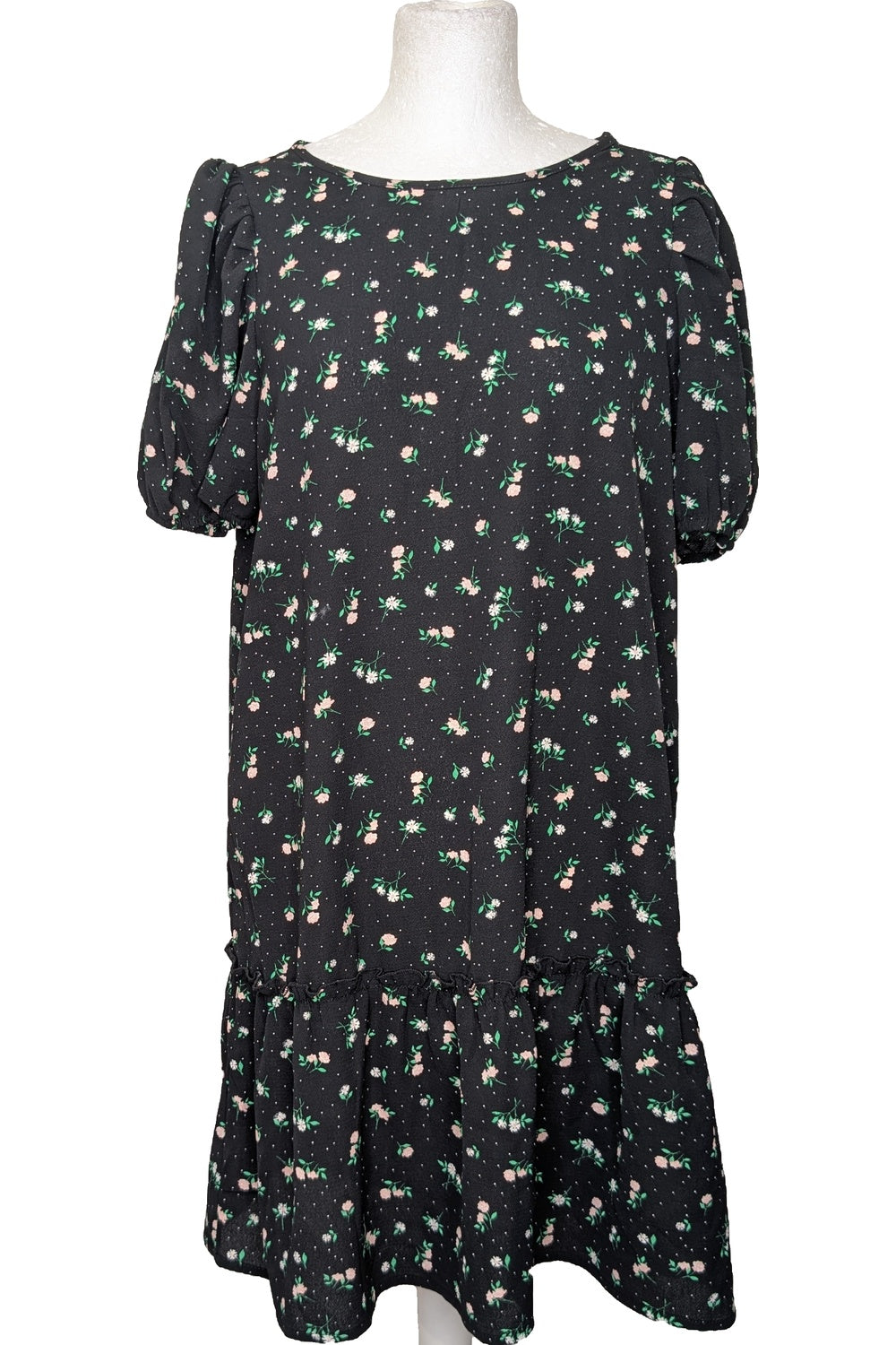 Photo 69986