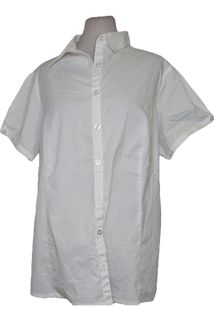 80750 - Photo