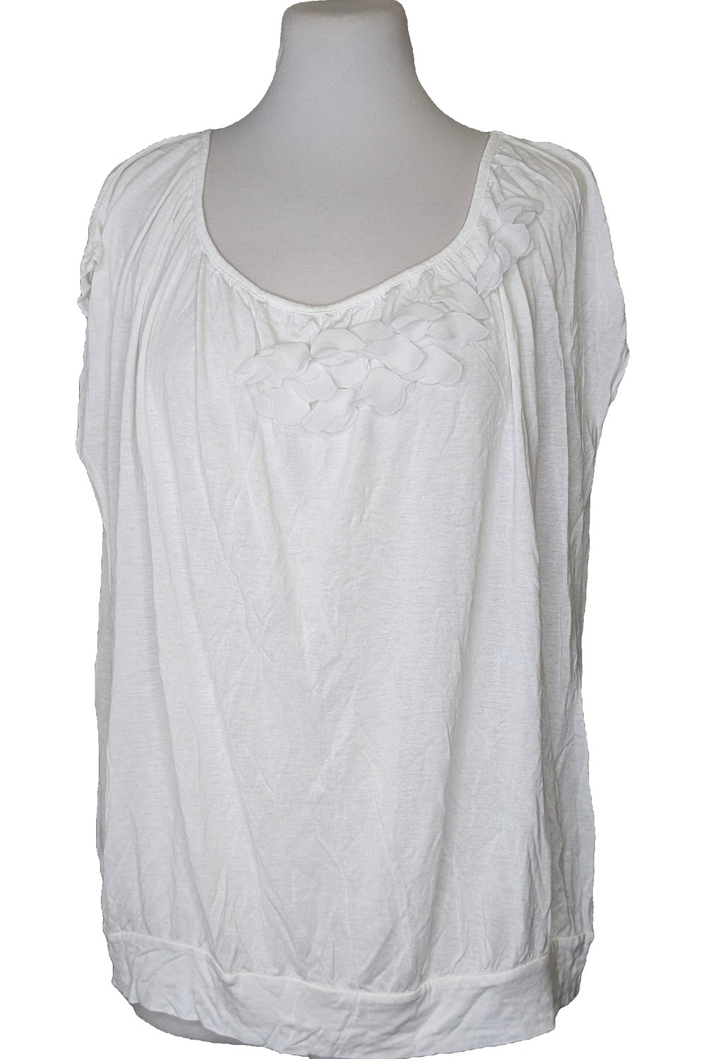 91698 - Photo